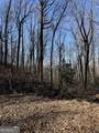 6180 Burnt Mountain Road - Photo 16
