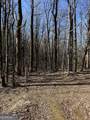 6180 Burnt Mountain Road - Photo 17