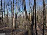 6180 Burnt Mountain Road - Photo 19