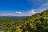 0 Dusty Danno Trail - Photo 20