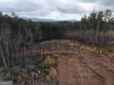 0 Johnson Mountain Road - Photo 22