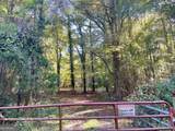 10588 Fitzgerald Road - Photo 8