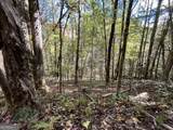 12.64 AC Harrison Sluder Road - Photo 16