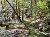 12.64 AC Harrison Sluder Road - Photo 18