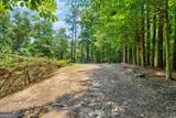 4830 Rebel Trail - Photo 49