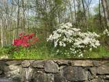 1654 A Ward Mountain Road - Photo 89