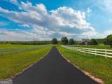 724 Teamon Road - Photo 6