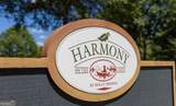 315 Harmony Lake Drive - Photo 33