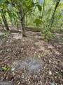 0 Eugene Ward Road - Photo 27