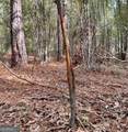 0 Eugene Ward Road - Photo 29