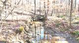 6147 Little Ridge Road - Photo 2