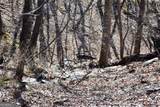 716 Moss Patch Trail - Photo 25