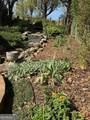 991 Adair Mill Road - Photo 11