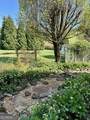 991 Adair Mill Road - Photo 12
