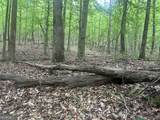 236 Riversong - Photo 9