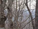 LOT 29 Long Mountain Trail - Photo 10