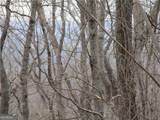 LOT 29 Long Mountain Trail - Photo 9