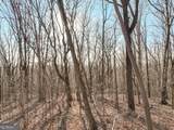 LOT 4 Mount Mincie Road - Photo 11