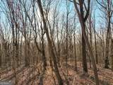LOT 4 Mount Mincie Road - Photo 12