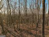 LOT 4 Mount Mincie Road - Photo 9