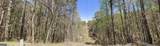 1 EAST Dry Pond Road - Photo 13
