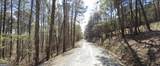 2 EAST Dry Pond Road - Photo 10
