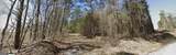 4 WEST Dry Pond Road - Photo 18