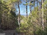 4 WEST Dry Pond Road - Photo 9