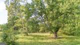 5.26+/- ACRES Joyner Oglesby Road - Photo 13