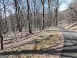 243 Dragon Trail - Photo 10