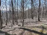 243 Dragon Trail - Photo 12