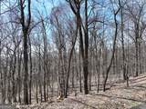 243 Dragon Trail - Photo 9