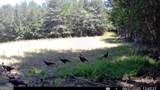 3312 Hunts Chapel Road - Photo 50