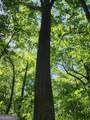 235 Double Branch Road - Photo 62