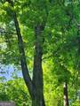 235 Double Branch Road - Photo 63