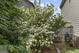 1460 Dahlia Drive - Photo 49