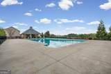 1460 Dahlia Drive - Photo 59
