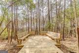 35 The Trail - Photo 52