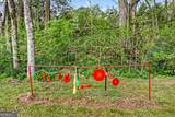 1071 Louden Ridge Road - Photo 64