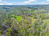 1071 Louden Ridge Road - Photo 69