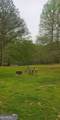 384 Enon Grove Road - Photo 8