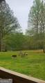 384 Enon Grove Road - Photo 9