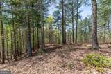 LOT 253 The Cove @ 1300 - Photo 11
