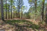 LOT 253 The Cove @ 1300 - Photo 12