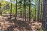 LOT 253 The Cove @ 1300 - Photo 13