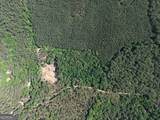 580 Saggus Road - Photo 9