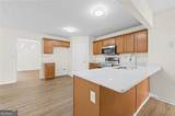 3711 Fryeburg Place - Photo 10