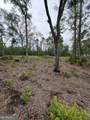 0 Piney Bluff Lot 5 Road - Photo 7
