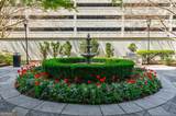 195 14th Street - Photo 85