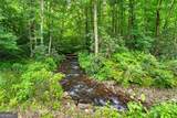 1449 Muskrat Creek Road - Photo 39